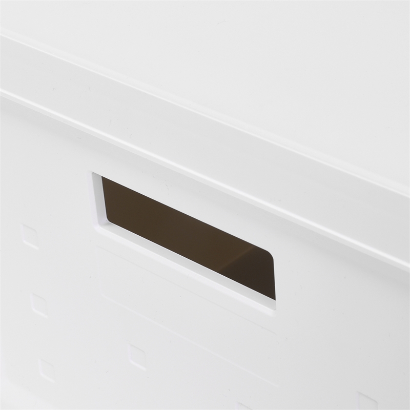 Set of 2 Collapsible Stackable Storage Box with Lids