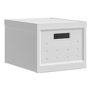 Set of 2 Collapsible Stackable Storage Box with Lids