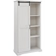 Modern Farmhouse Grooved Sliding Door Tall Storage Cabinet in Brushed White