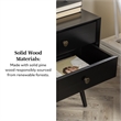 Mid Century Modern 2-Drawer Bedroom Nightstand in Black