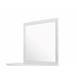 Global Furniture USA Pompei Metallic White Mirror