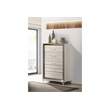 Global Furniture USA Zambrano Zebra White Wooden Chest