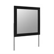 Emma Black and Gray Mirror