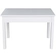 International Concepts 5 Piece Storage Kids Table and Chair Set