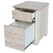 International Concepts 2 Drawer Mobile Vertical File Cabinet