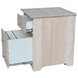 International Concepts 2 Drawer Mobile Vertical File Cabinet