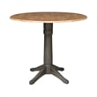 42 in Round Drop Leaf Counter Height Table with 2 Stools in Hickory/Washed Coal