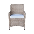 Outdoor Aluminum Wicker Patio Dining Chair with Cushion - Natural