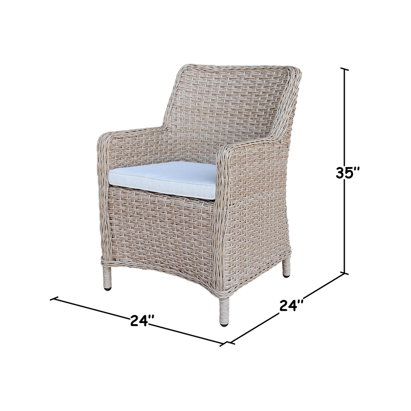 Outdoor Aluminum Wicker Patio Dining Chair with Cushion - Natural