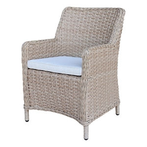 Outdoor Aluminum Wicker Patio Dining Chair with Cushion - Natural