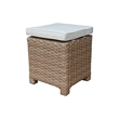 International Concepts Outdoor Set of Two Wicker Stools with Cushions