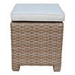 International Concepts Outdoor Set of Two Wicker Stools with Cushions