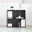 Prado 30 inch 2 Shelf Multipurpose Black Bookcase Engineered Wood