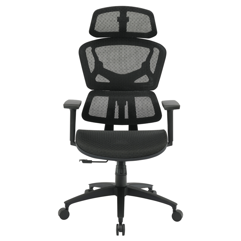 Black Mesh Back and Fabric Seat with Adjustable Arms and Headrest