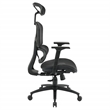 Black Mesh Back and Fabric Seat with Adjustable Arms and Headrest