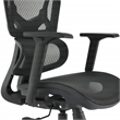 Black Mesh Back and Fabric Seat with Adjustable Arms and Headrest