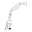 Double Monitor Arm 17