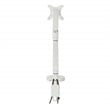 Single Monitor Arm with Dual USB 3.0 Port in White Aluminum Finish