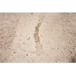 Riverside Furniture Capri Rectangle Travertine Stone Coffee Table in Alabaster