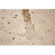Riverside Furniture Capri Rectangle Travertine Stone Coffee Table in Alabaster