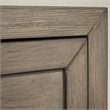 Riverside Furniture Vogue Wood 5-Drawers Chest in Gray Wash
