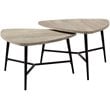 Table Set 2pcs Set Coffee End Side Accent Living Room Metal Beige Black