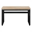 Computer Desk Standing Adjustable 48