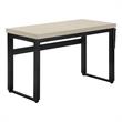Computer Desk Standing Adjustable 48