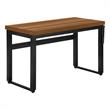 Computer Desk Standing Adjustable 48