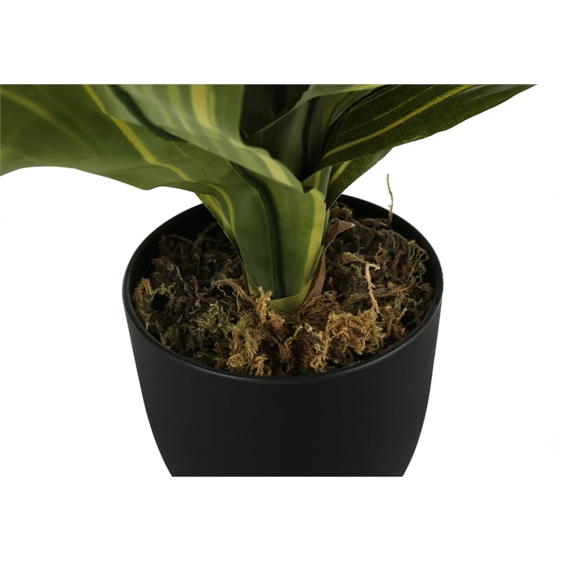 Artificial Plant - 17