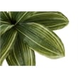 Artificial Plant - 17