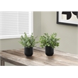 Artificial Plant - 11