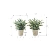 Artificial Plant - 13