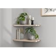 Artificial Plant - 8