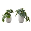 Artificial Plant - 8