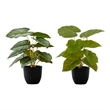 Artificial Plant - 13
