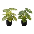 Artificial Plant - 13