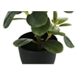 Artificial Plant - 14