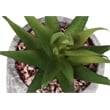 Artificial Plant - 6