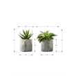 Artificial Plant - 6
