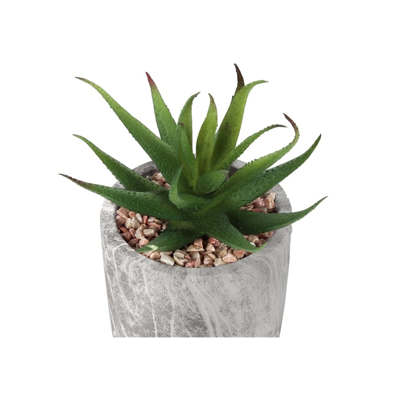 Artificial Plant - 6