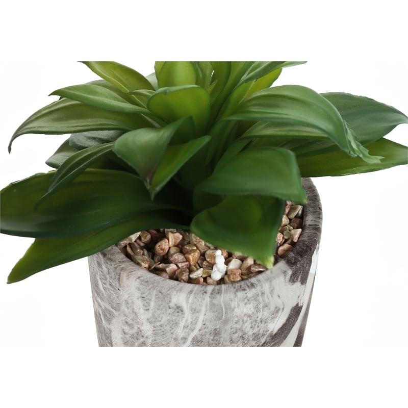 Artificial Plant - 6