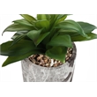 Artificial Plant - 6