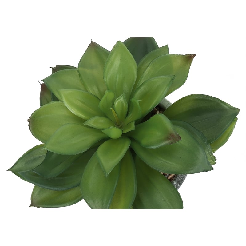 Artificial Plant - 6