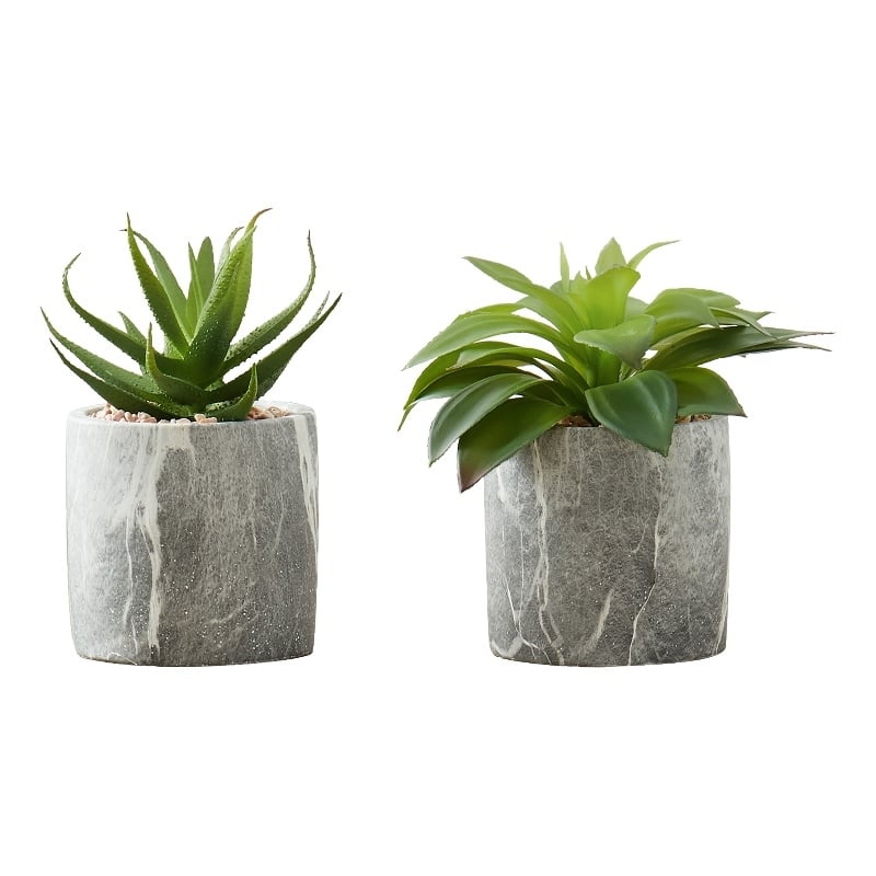 Artificial Plant - 6