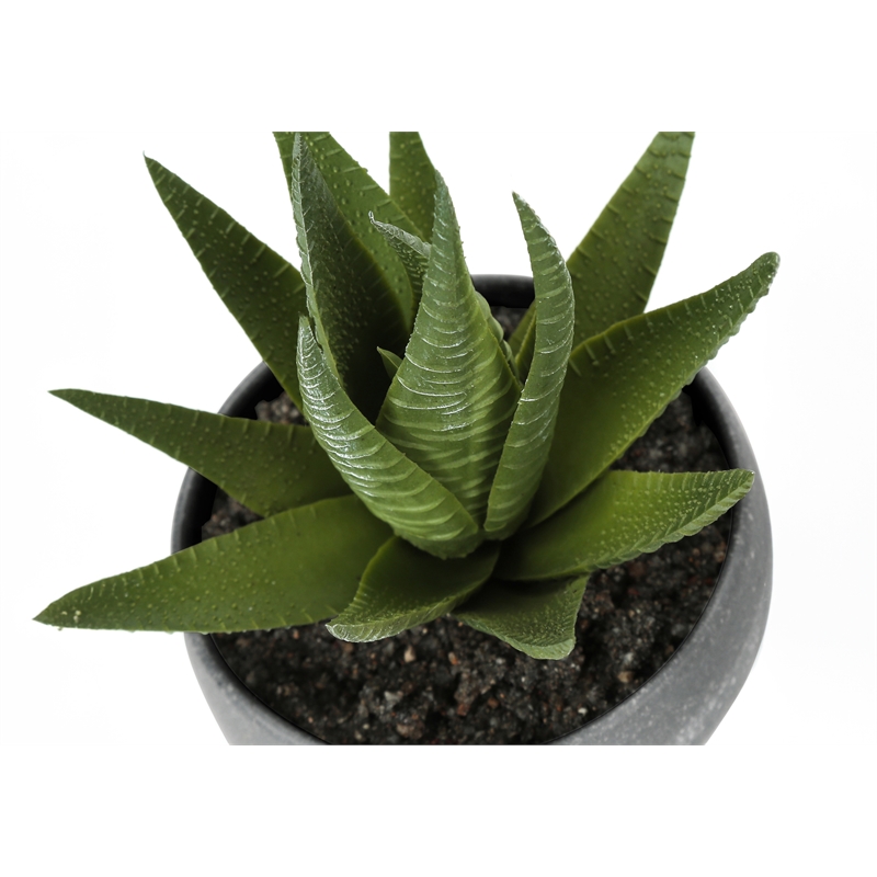 Artificial Plant - 6