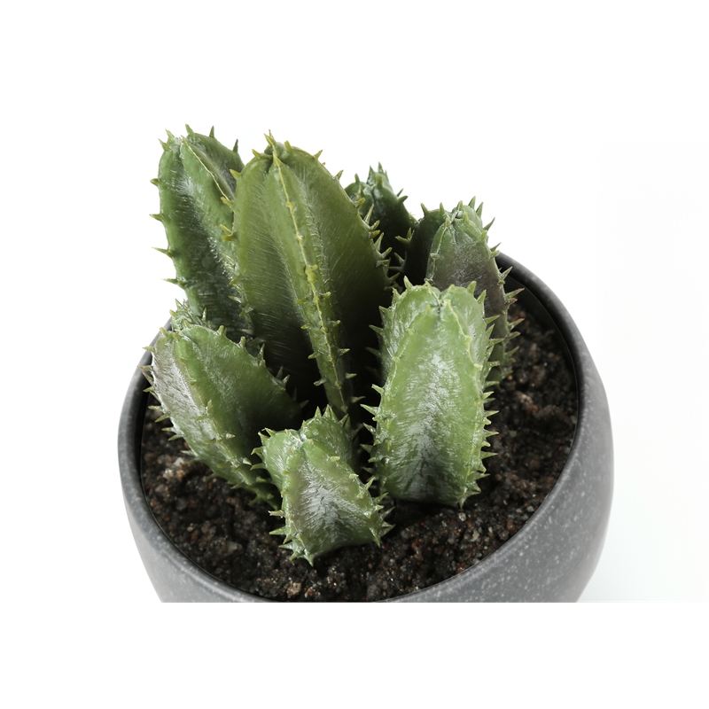 Artificial Plant - 6