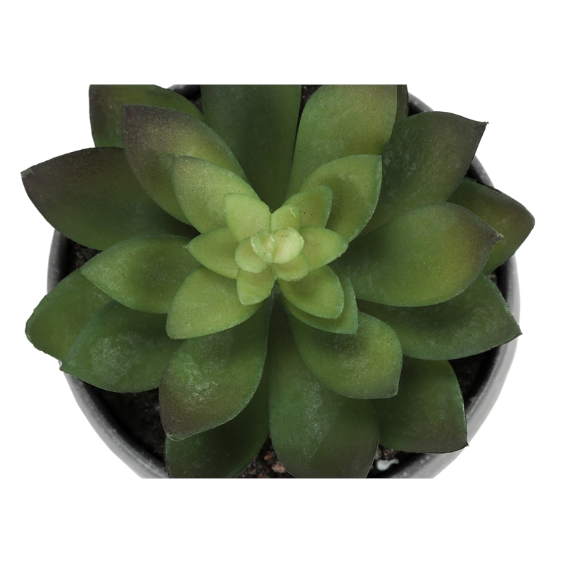 Artificial Plant - 6