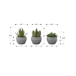 Artificial Plant - 6