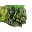 Artificial Plant - 7